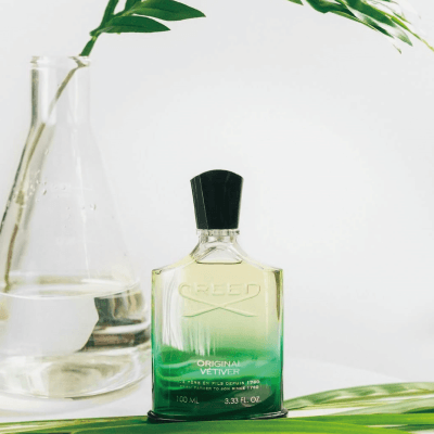 綠香岩蘭 Original Vetiver 香水瓶搭配綠色植栽與玻璃器皿,呈現清爽自然木質調氛圍