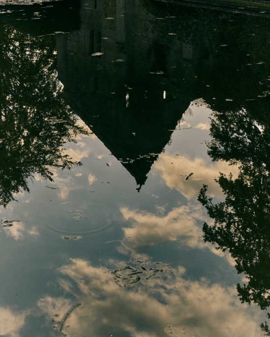 水面倒影與綠意交融，展現岩蘭草清新通透層次