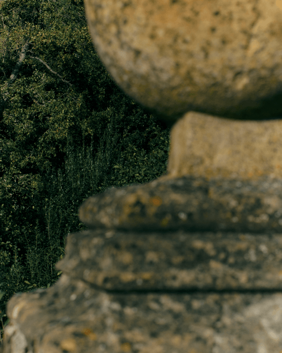 石牆與光影交織，呈現岩蘭草沉穩木質與自然氣息