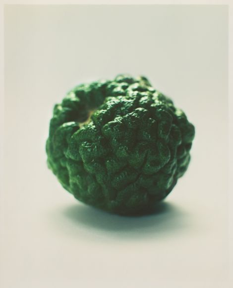 Atelier Cologne 品牌核心精神：香檸檬