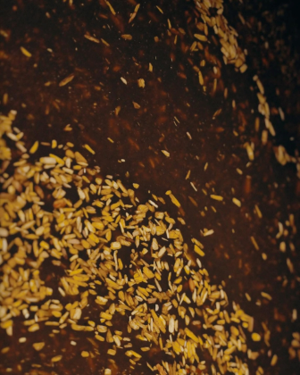 呈現 AMOUAGE 時光留韻系列雙重陳化工藝的第一階段