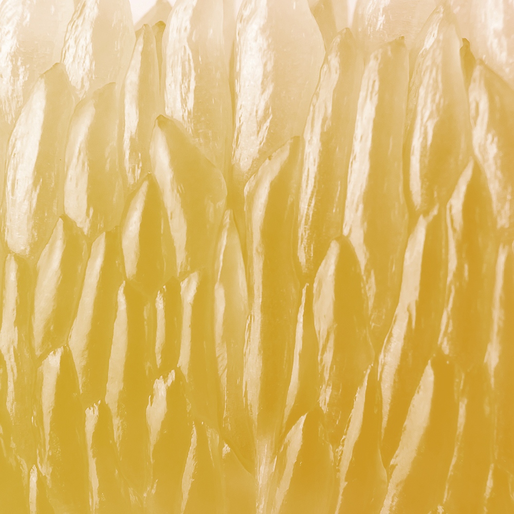 Atelier Cologne 香檸檬細節示意圖