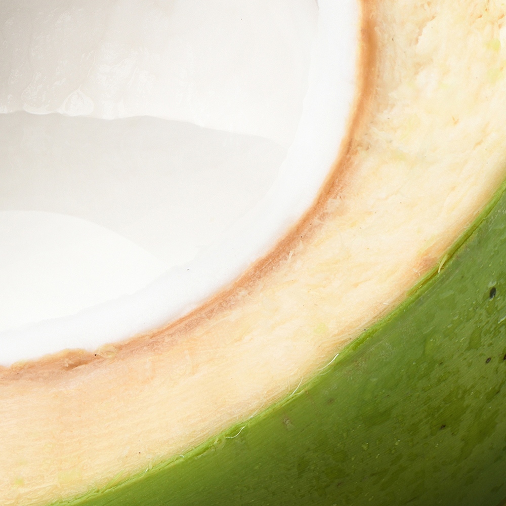 Atelier Cologne 椰子細節示意圖