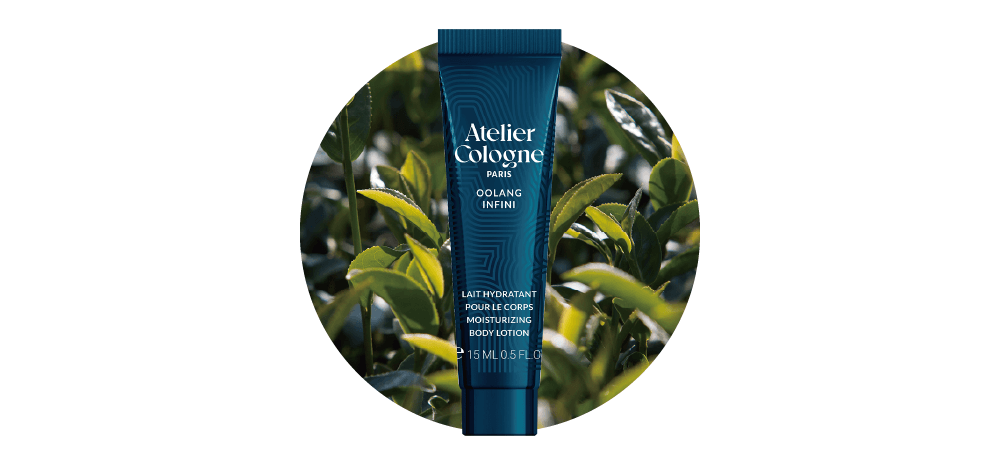 Atelier Cologne 無極烏龍 身體乳15ml香材圖