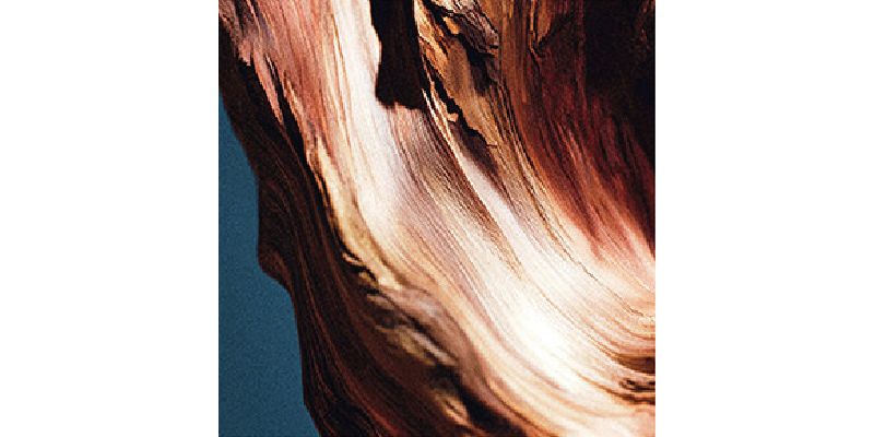 雪松木紋細節特寫,傳遞溫潤沉穩的木質香調