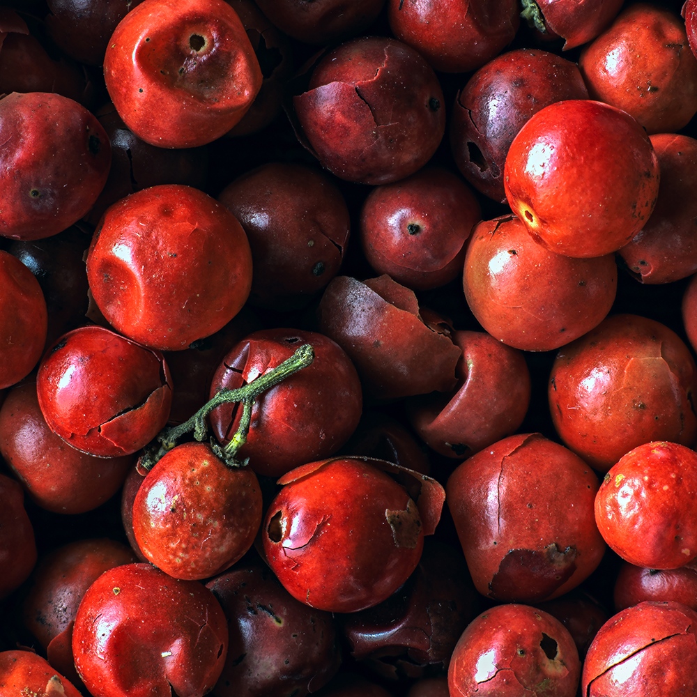 Atelier Cologne 粉紅胡椒細節示意圖