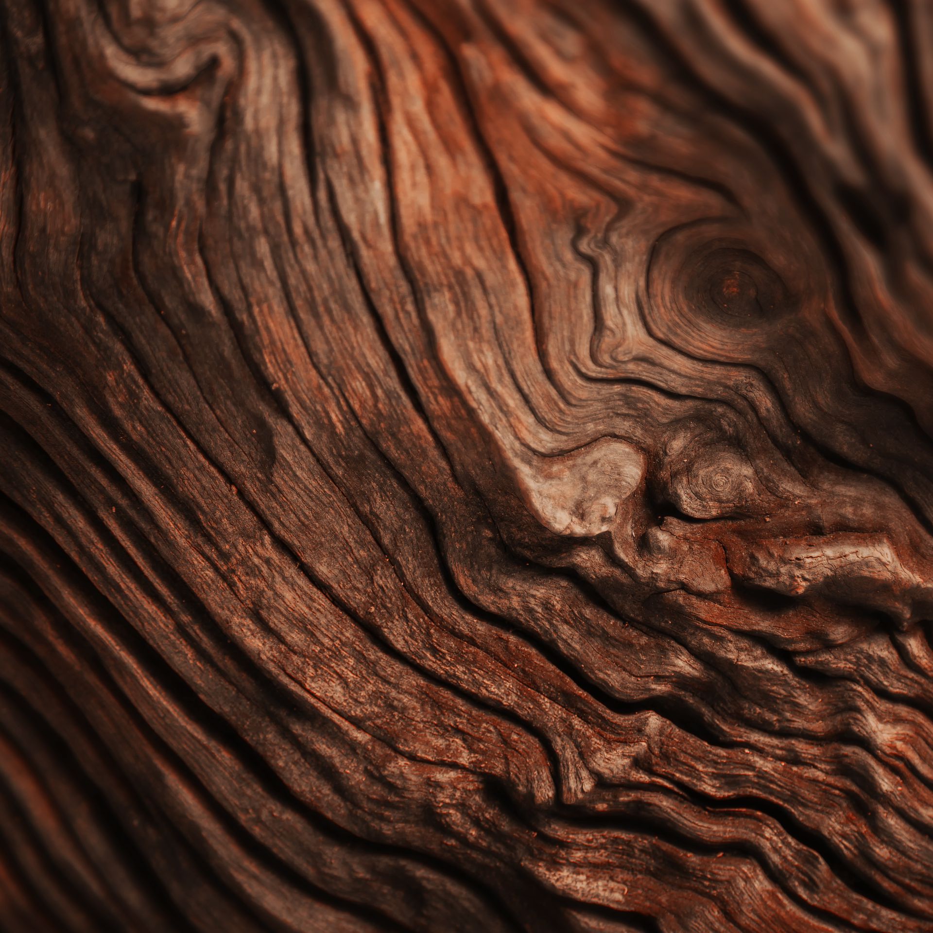 Atelier Cologne 檀香木細節示意圖