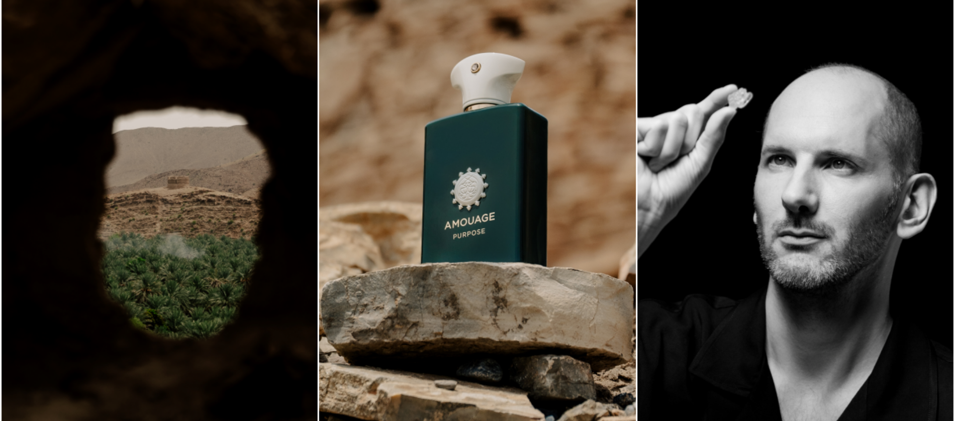 浮圖行者 PURPOSE