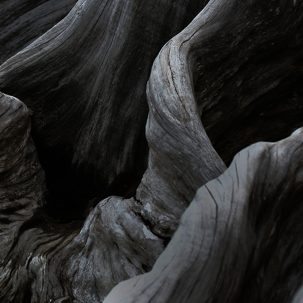 Atelier Cologne 檀香細節示意圖