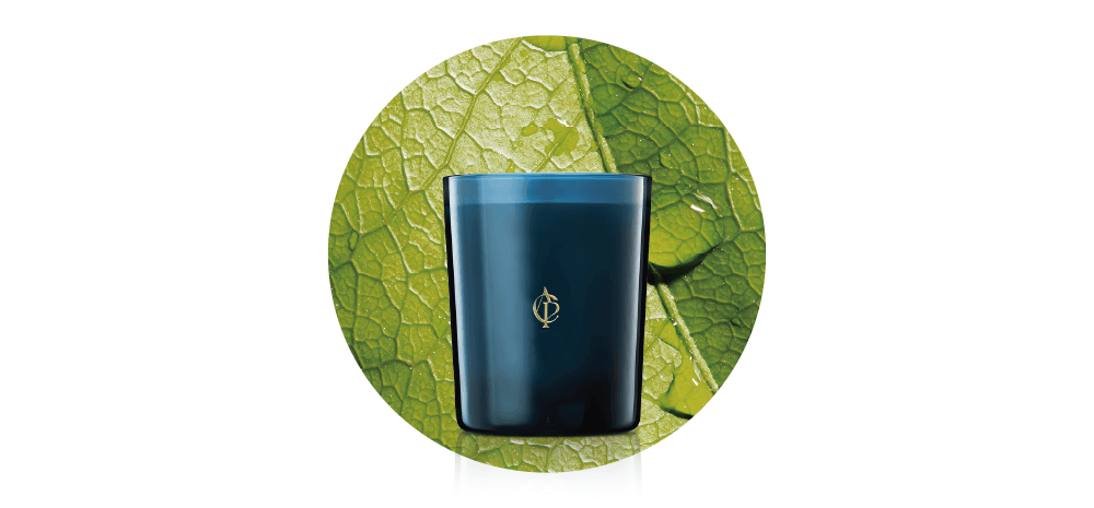 Atelier Cologne 無極烏龍 香氛工藝蠟燭35g香材圖