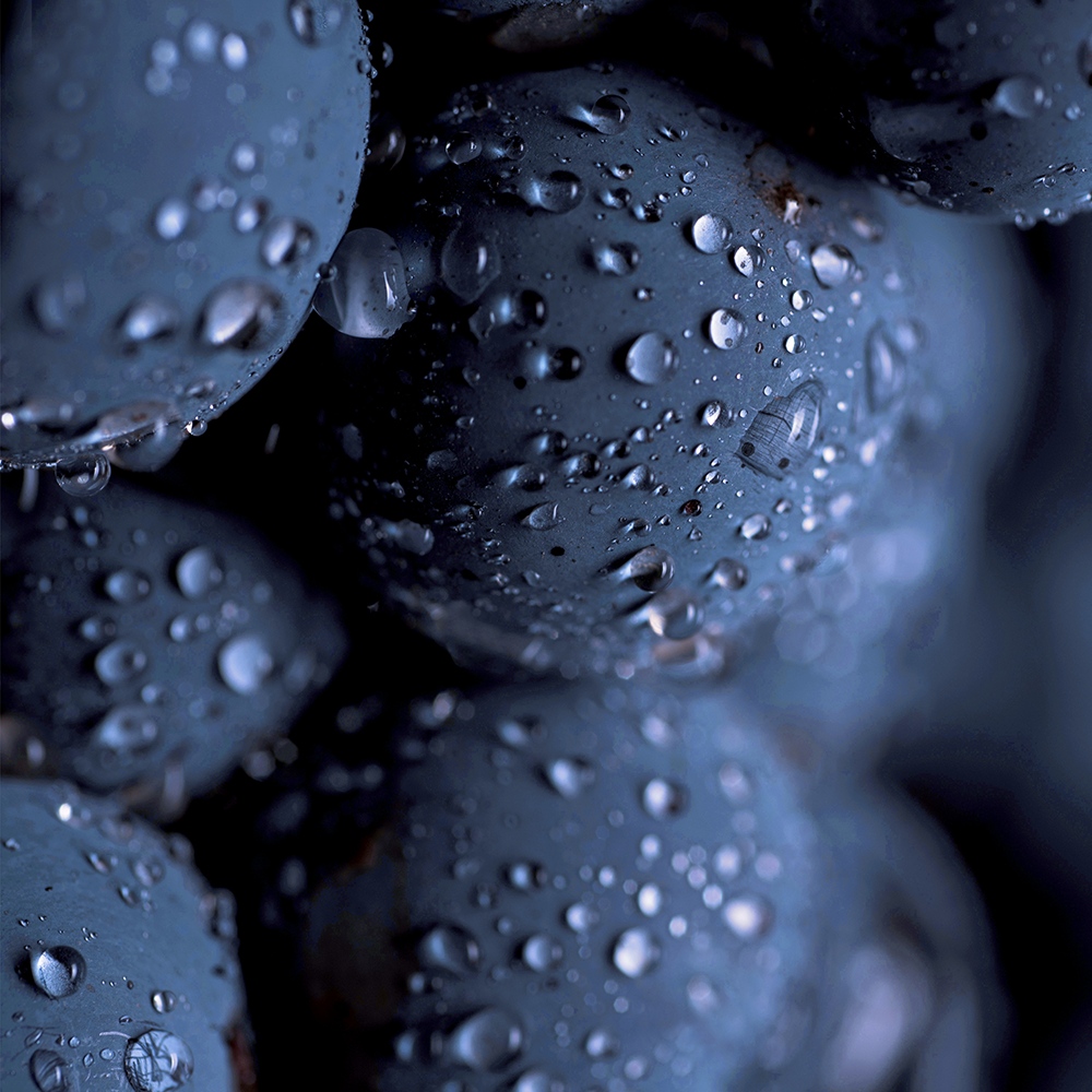 Atelier Cologne 杜松漿果細節示意圖