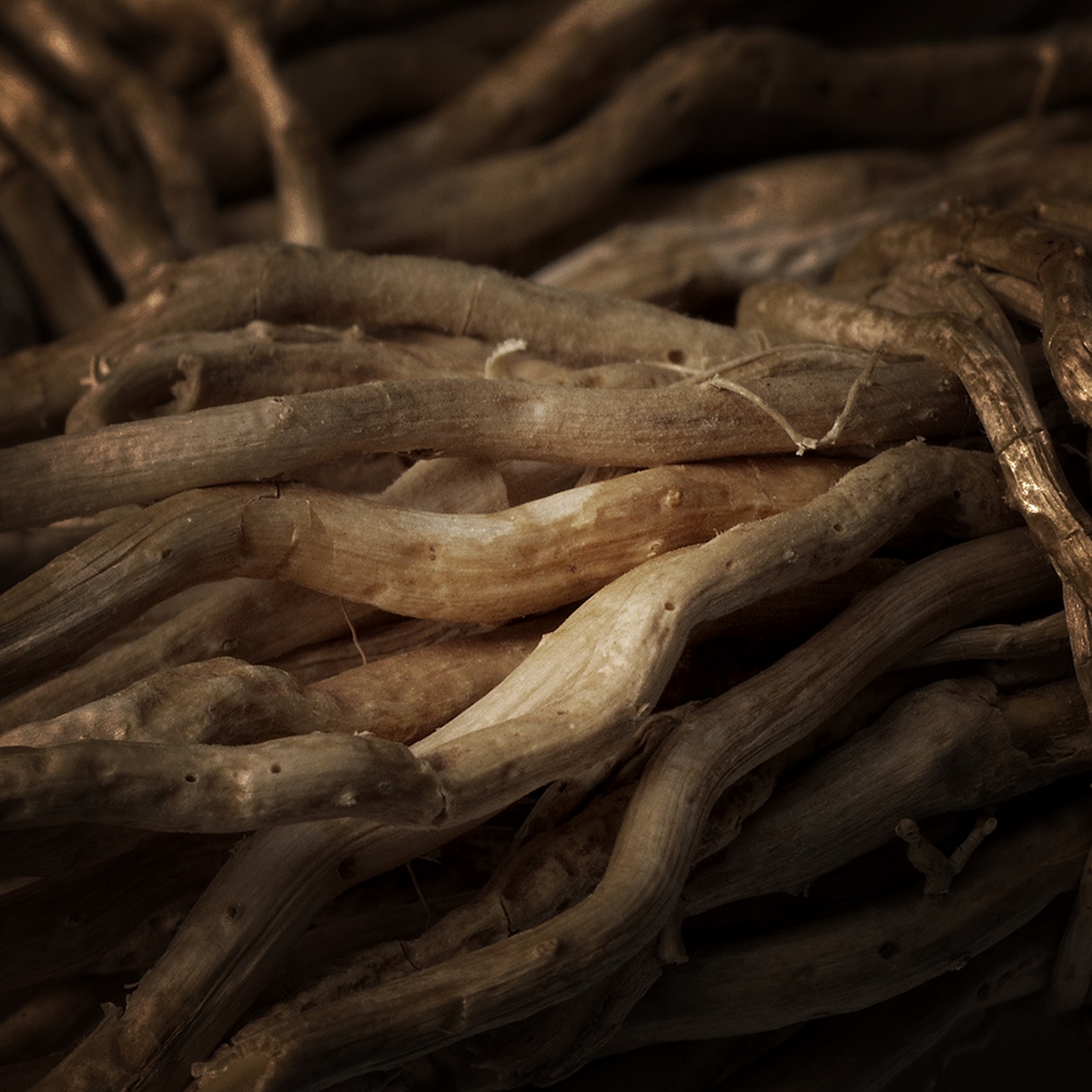 Atelier Cologne 岩蘭草細節示意圖