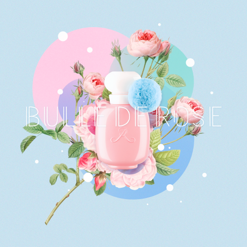 泡泡玫瑰 Bulle de Rose