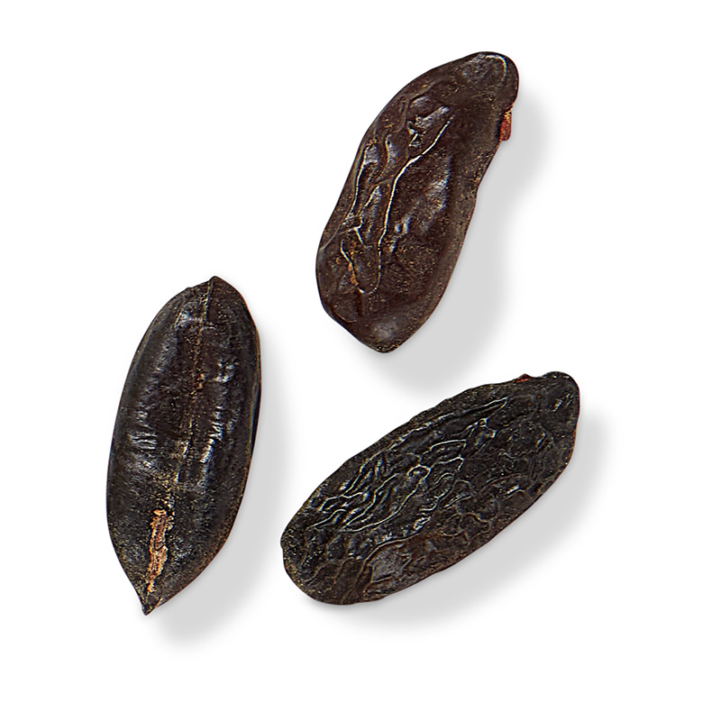 東加豆 Tonka beans